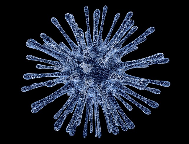 virus-infected-cells-213708_640