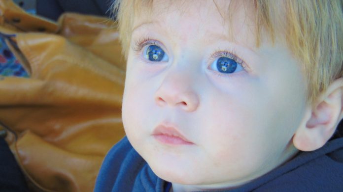 little-boy-995415_1920