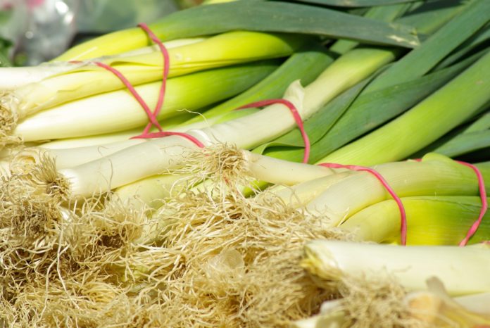 leeks-673243_1920